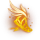 checkout icon